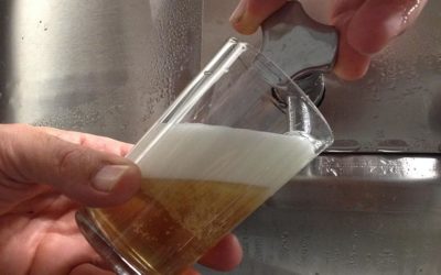 2ª Fiesta Cervesa de Collita 2016