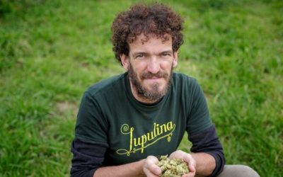 Ara.cat – La fiebre del oro verde para hacer cerveza llega a Cataluña