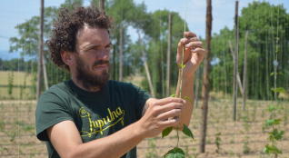 Diari de Girona – A la recerca del llúpol gironí