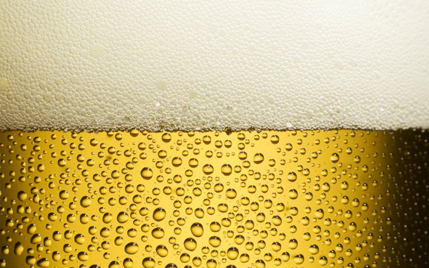 Per als amants de la cervesa, dissabte, la “Festa del llúpol fresc”